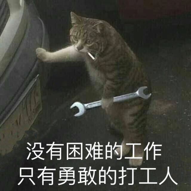 博主头像